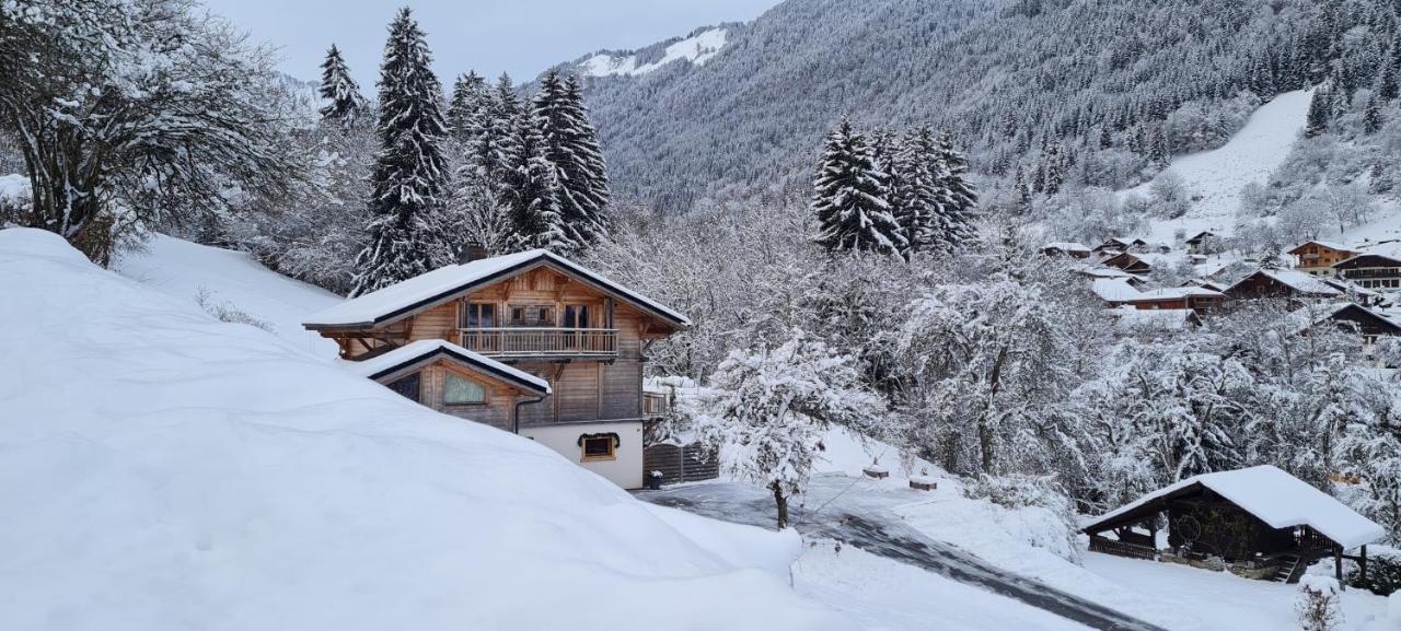 Appartement Borne Saint-Jean-dʼAulps Zewnętrze zdjęcie