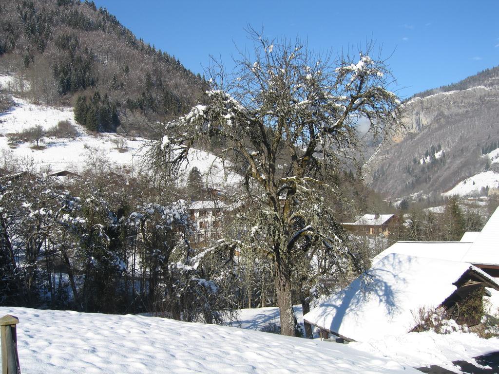Appartement Borne Saint-Jean-dʼAulps Pokój zdjęcie