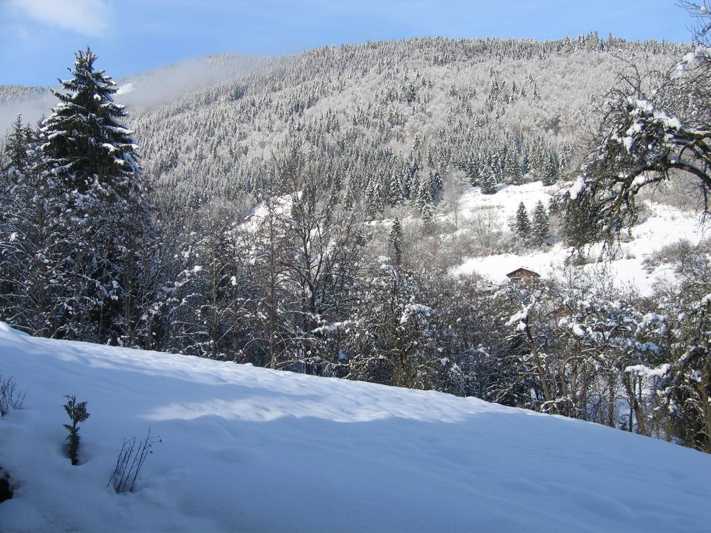 Appartement Borne Saint-Jean-dʼAulps Zewnętrze zdjęcie